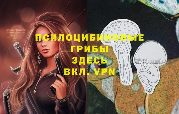 2c-b Елабуга