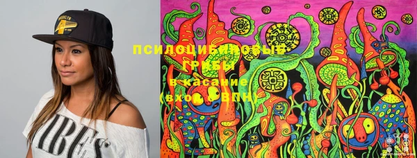 крисы Заволжье
