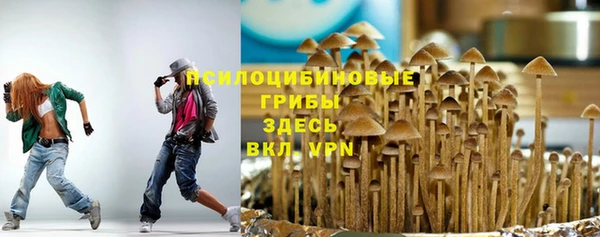 mdma Ельня