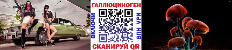 Галлюциногенные грибы Psilocybe  Зеленогорск 